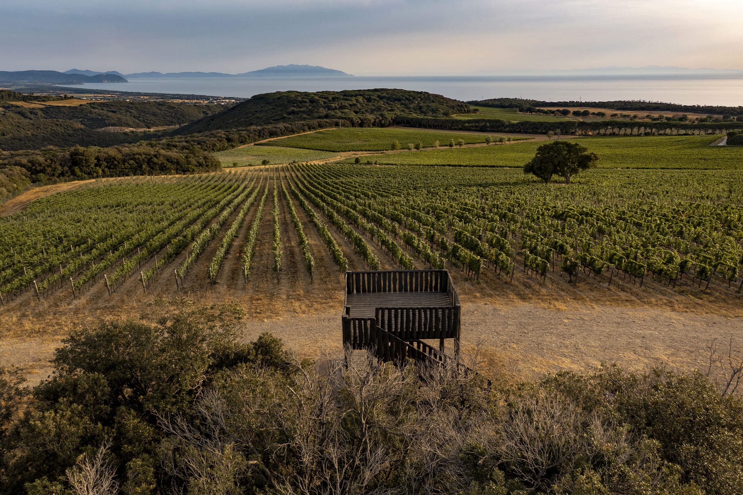 SOGGIORNO + WINE EXPERIENCE, CANTINA ARGENTIERA