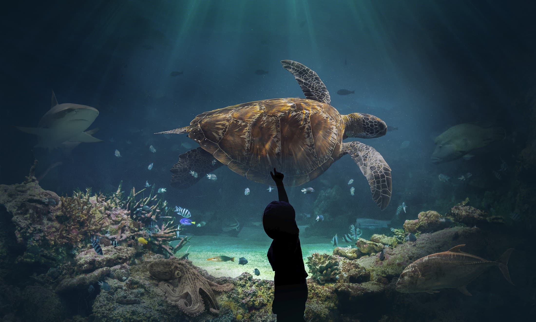 Acquario di Livorno